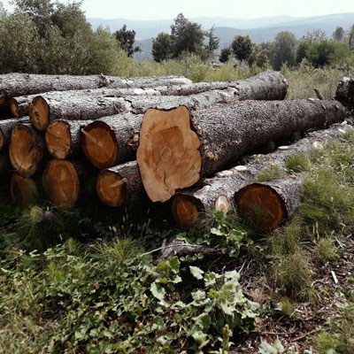 legna da ardere a Monghidoro