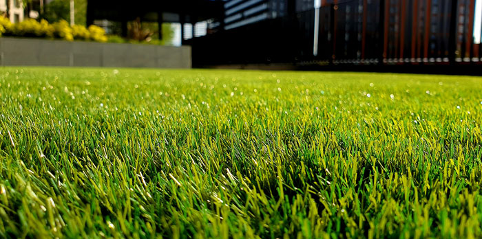 Manutenzione prato aziendale