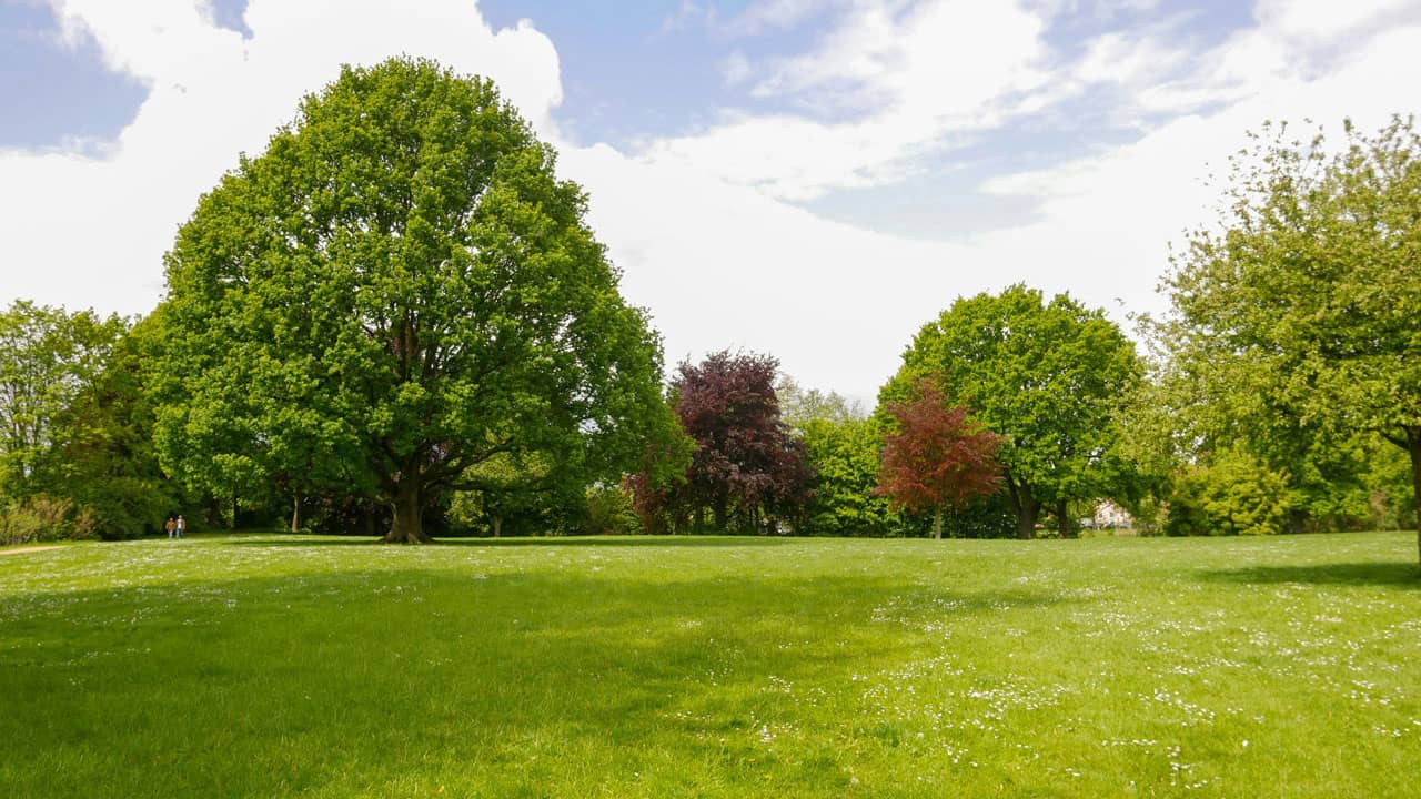 Sfalcio prati e grandi superfici